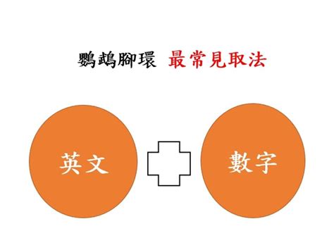 鸚鵡腳環數字意思